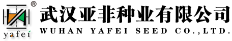 亚非种业.jpg